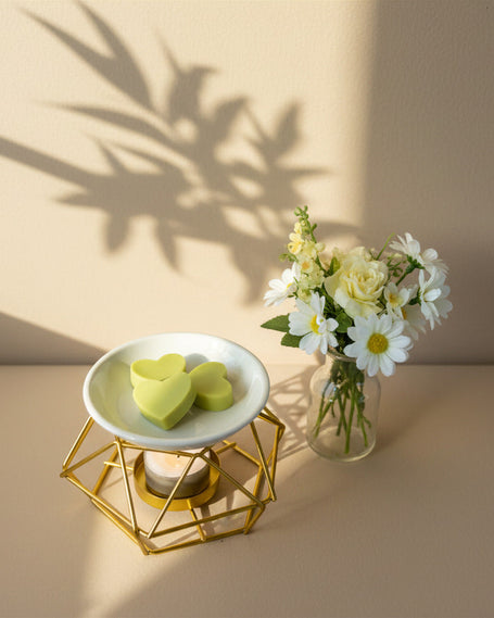 Wax Melts Aromáticos