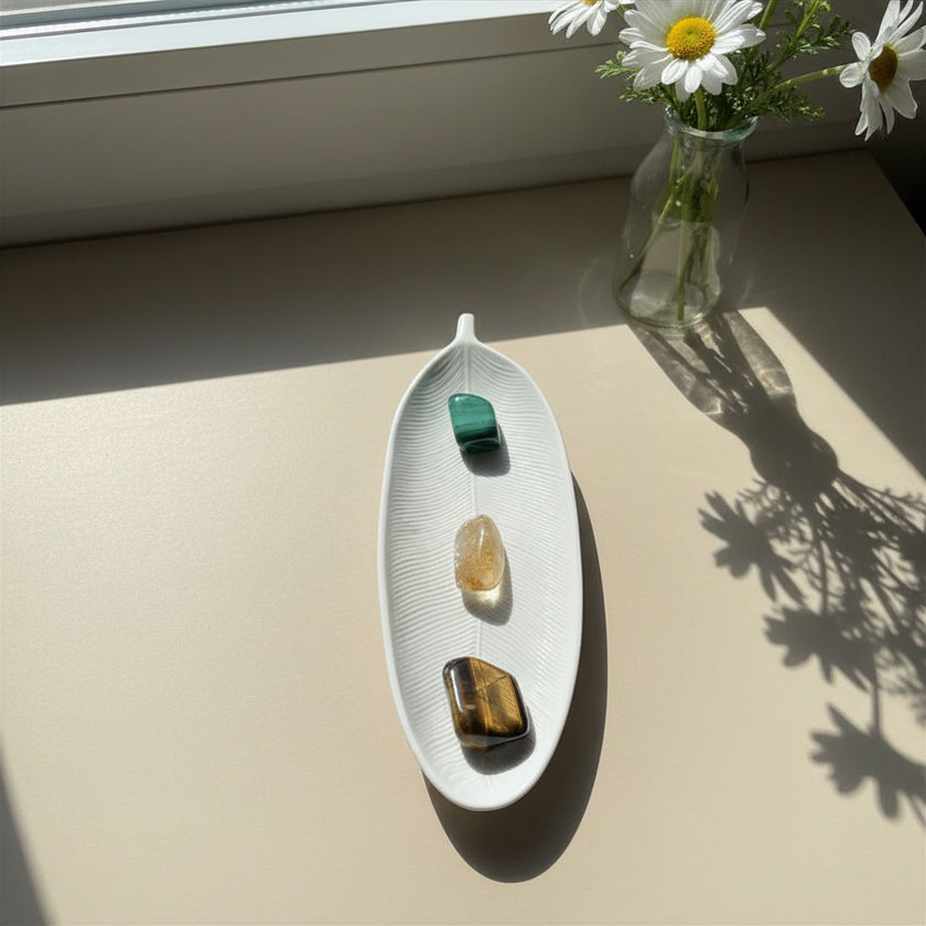 Aura – Pluma