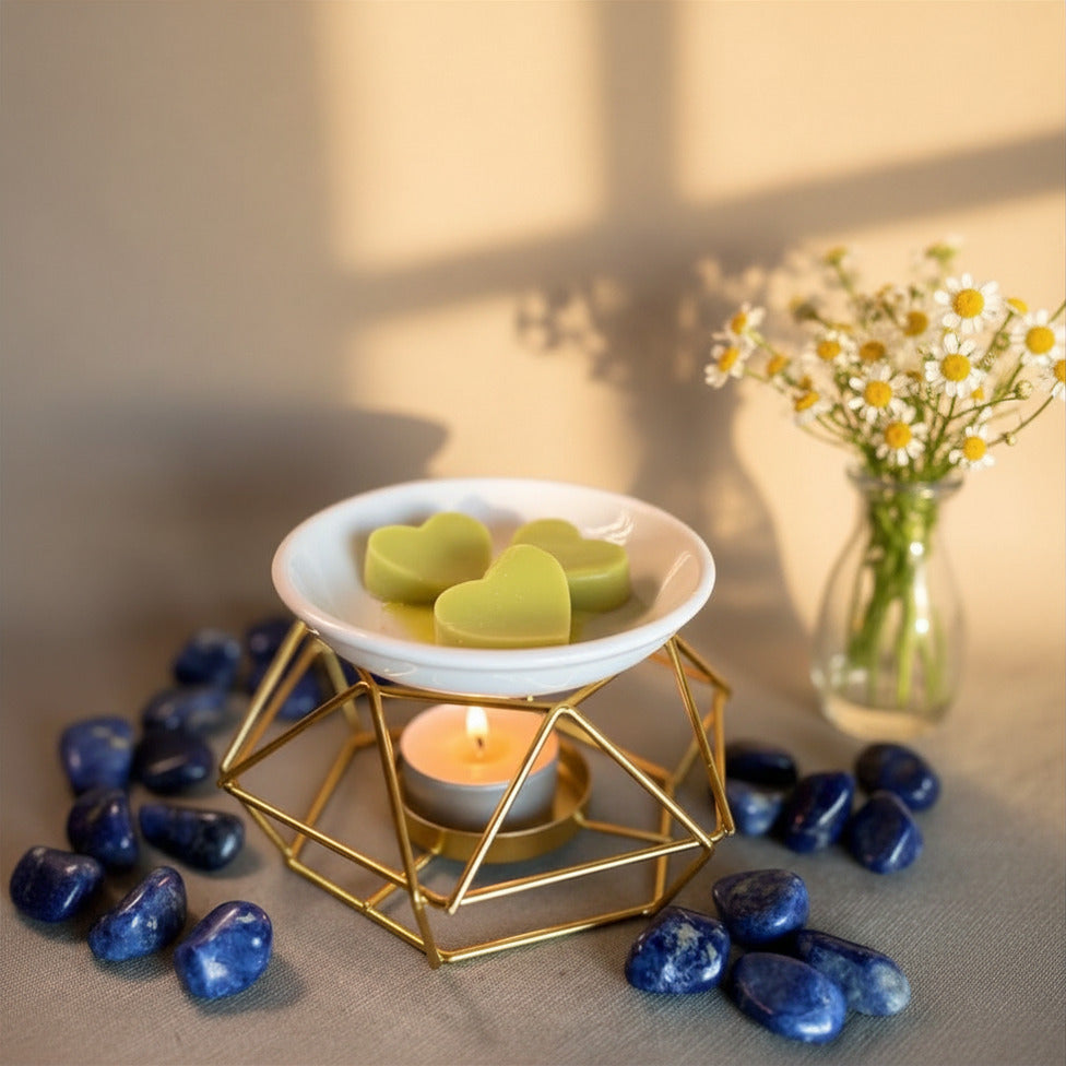 Quemador Wax Melts (Hierro)