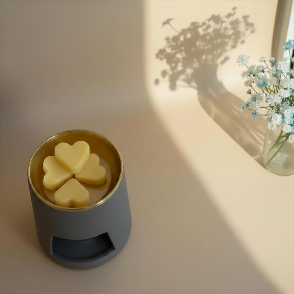 Wax Melts Sueño Vivo · Naranja y Canela para Manifestación