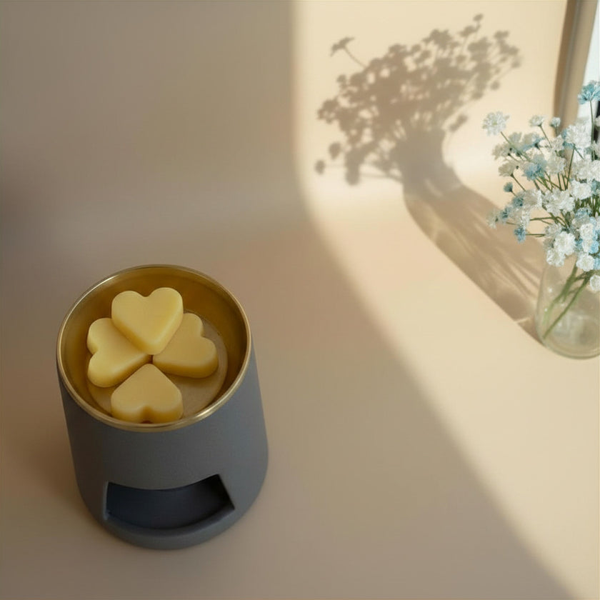 Wax Melts Sueño Vivo · Naranja y Canela para Manifestación