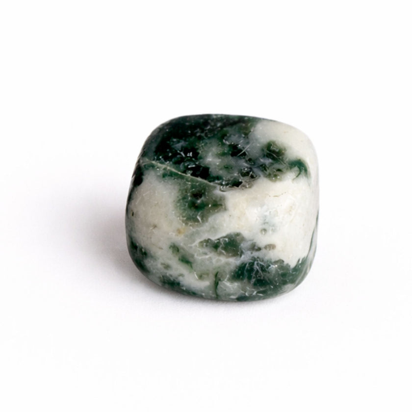 Ágata Árbol Rodado