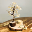 Árbol Minerales Cuarzo Blanco Esencia