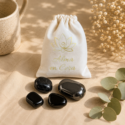 Bolsa Protección y Raiz