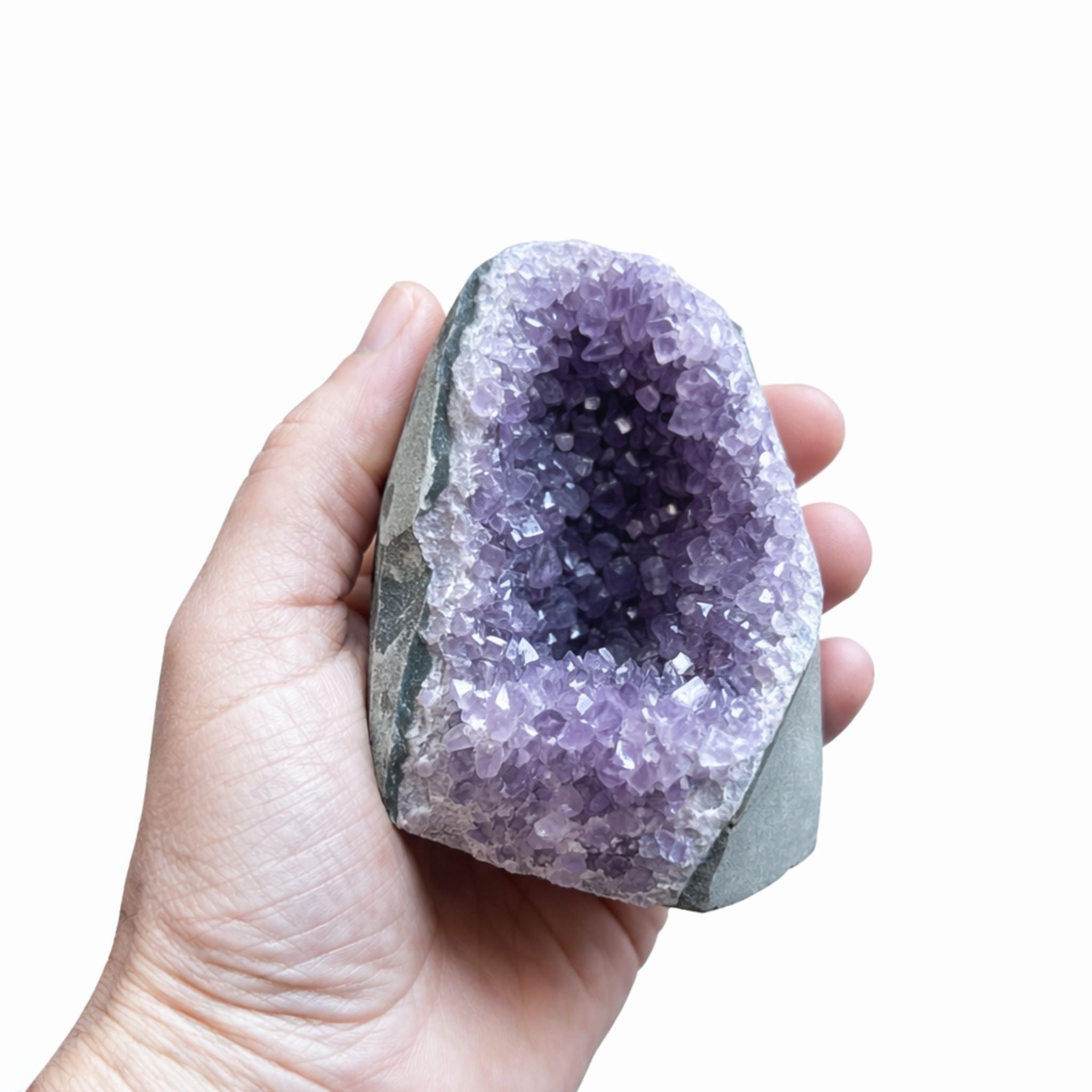 Drusa Amatista Refugio