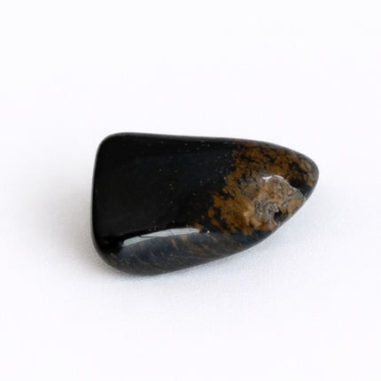 Ojo de Halcón Rodado