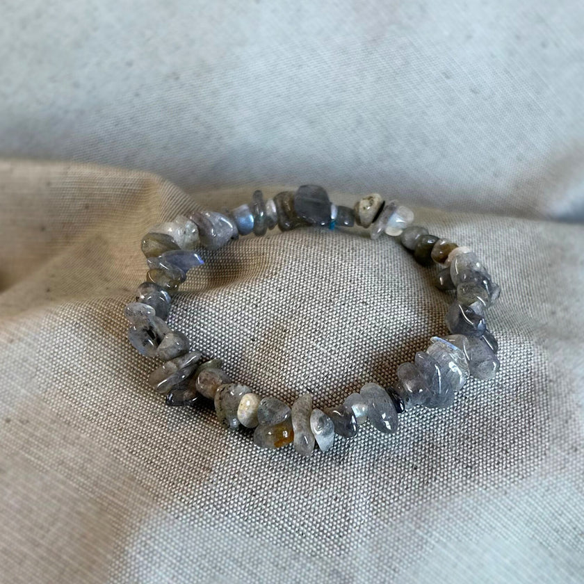 Pulsera de Chips Labrodita
