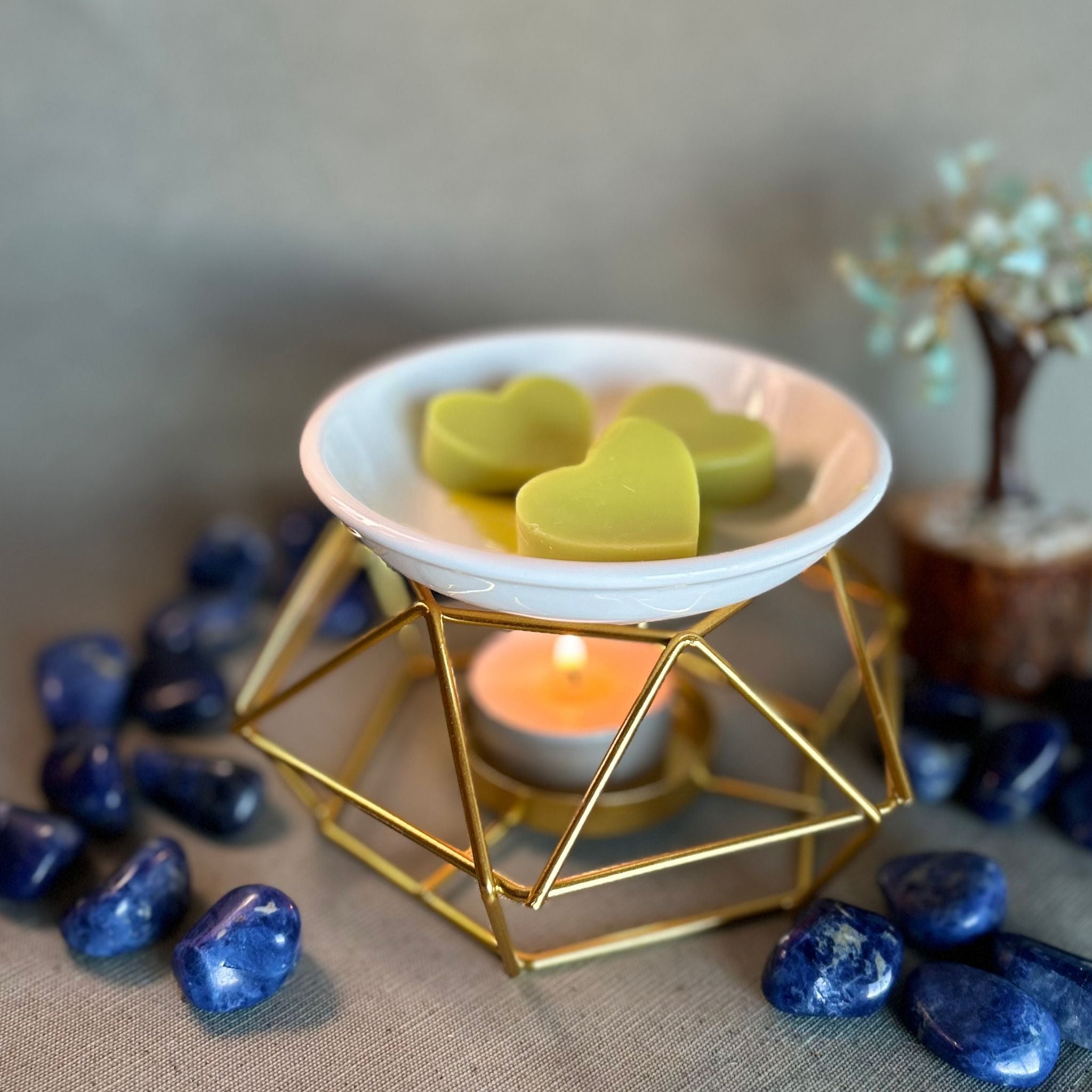 Quemador Wax Melts (Hierro)