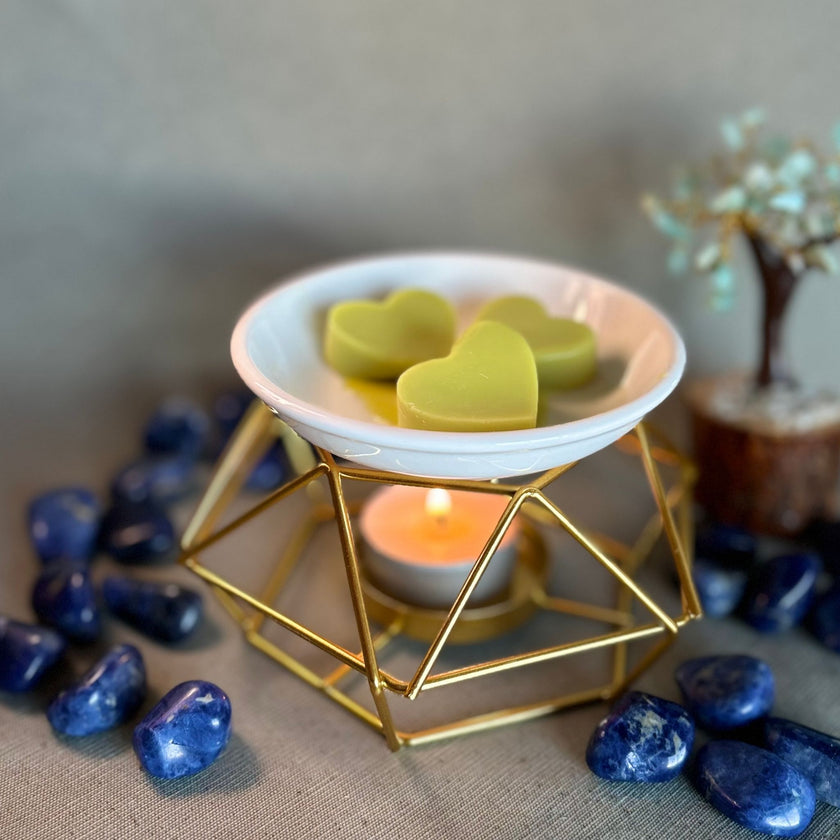 Quemador Wax Melts (Hierro)