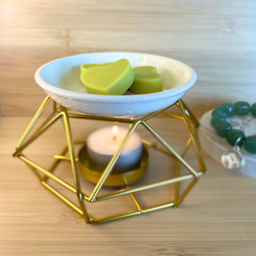 Wax Melt  Nueva Semilla